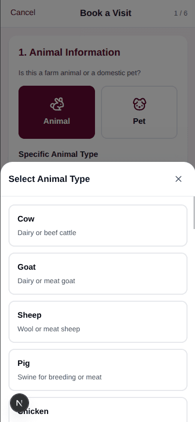 Professional Veterinary Care